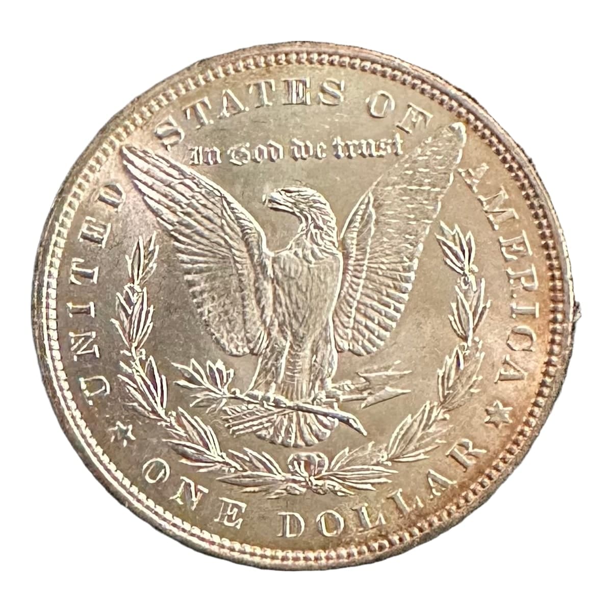 The same Morgan dollar cut out on pure white, centred in a square