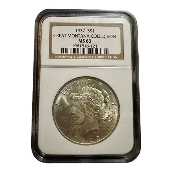 A Morgan dollar in an NGC holder, cut out on white and centred at 90% of the square
